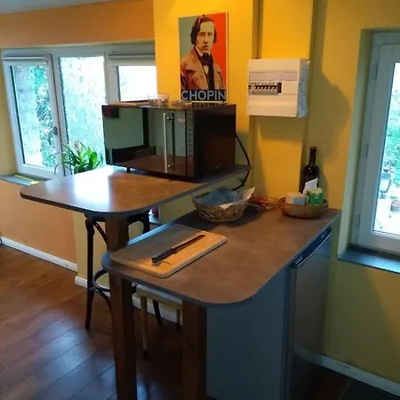 Maison Chopin Gramat Extérieur photo